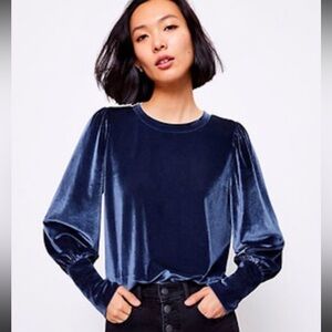 LOFT Women's Deep Blue Velvet Long Sleeve Top